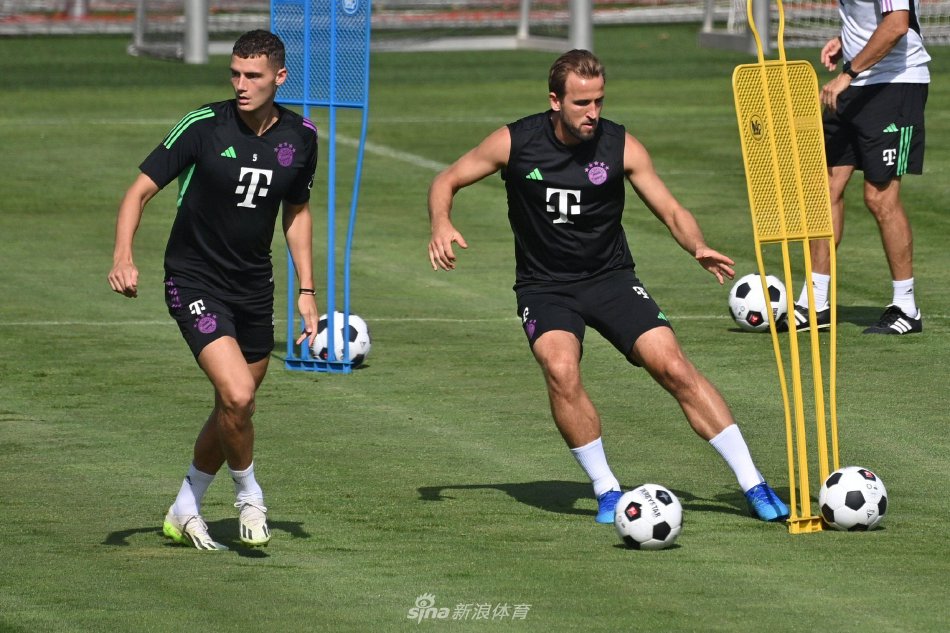 强化了他公 强化了他公