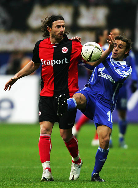 自然与城市 自然与城市